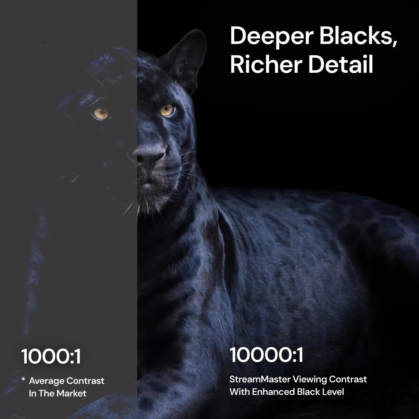 Valerion StreamMaster Plus2